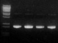 4c3664caccf5dd9d78fe0aeda0bafcfc_20141215221549984998.gif