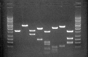 f838009298262f9fafb163158f80e0f8_20141215202536093609.gif