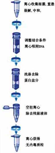 ce5b96cb03eaf1868b73a89317b3aee8_Plasmid%20mini_protocol.jpg