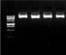e17b23b50c8db057ee235de625fc526e_20141215220924782478.gif
