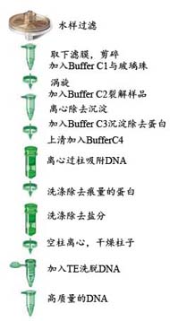 846e4c1994ecba930a9a31416c94364c_water_DNA_protocol.jpg