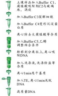 a75a6bf13c94bd5325e98f367187f0ea_Stool_DNA_Protocol.jpg