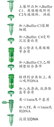 1684467395335555.jpg c5c7f79d5918b7dd34d2e880f0aaf029_Soil_DNA_protocol.jpg