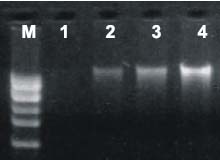 d1920a9ce71e91b05d6a71bf5debbf9d_20141219151890969096.jpg