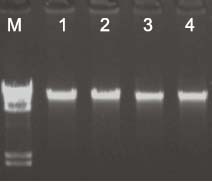 b026ed45d40f5d112f98b47d9ad673dd_20141216223043084308.jpg
