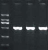 8f139bbee1fb55e3a9475edb6af9f4f5_20141219143689998999.jpg