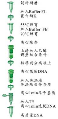 34f72a874805720c7737fcd85514c2fc_Feedstuff_DNA_Kit_protocol.jpg