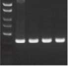 1e33a1632df009fa7a1f738275bacf90_20141220173110631063.jpg