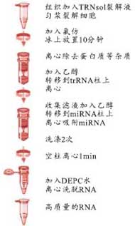 e0865e8b7c88bd0682e7bb00ddc1c7ec_miRNA_Isolation_kit.jpg